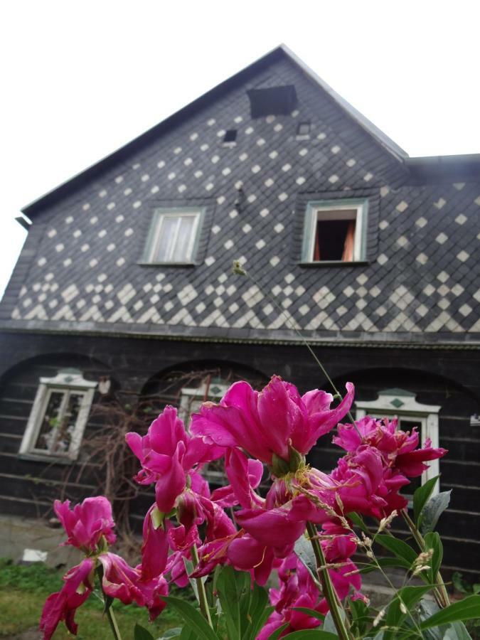 Prazdninovy Dum Nove Hrabeci Villa Sluknov Exterior photo